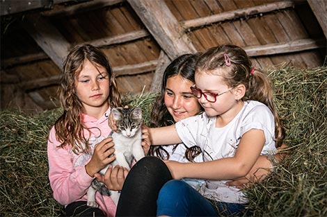 Drei Mädchen am Heuboden - sitzend im Heu und streicheln gerade eine Baby-Katze