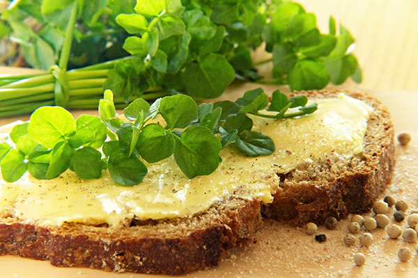 Ein Brot mit Aufstrich und frischen Kräutern darauf. Neben dem Brot liegen Pfefferkörner.